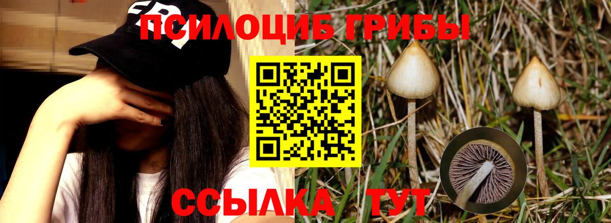Галлюциногенные грибы GOLDEN TEACHER Сатка