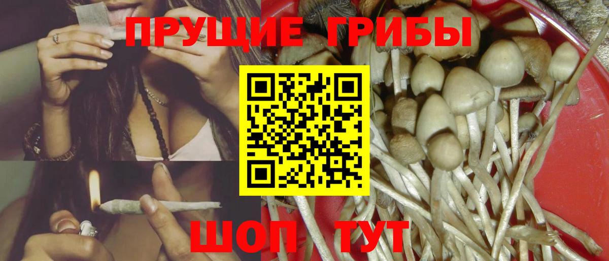 Сатка  как найти закладки  Вход с VPN  Галлюциногенные грибы Psilocybe 